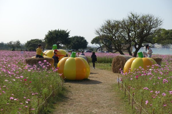 美堤公園花海．中427公園賞櫻1258028