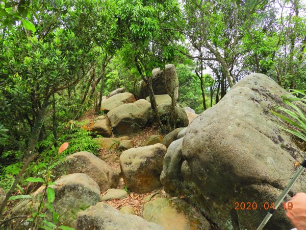 臺北 內湖 龍船岩、開眼山924805