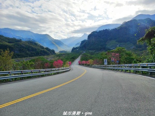 手腳並用之虎山行。 水雲三星~虎山步道1300648