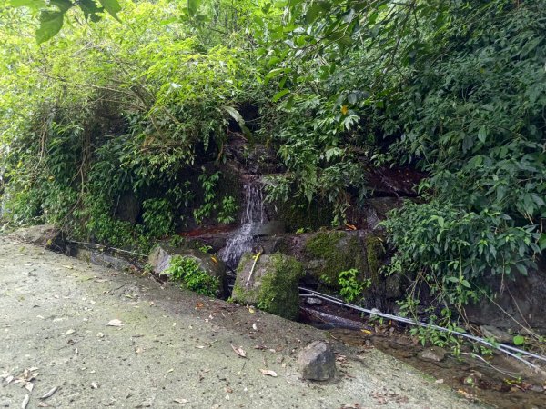 華山4-2號步道上雲嘉連峰2579376