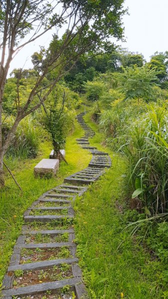 登高步道705019