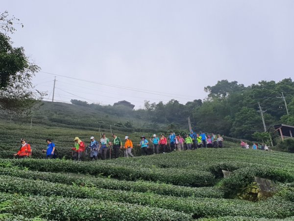 【雲嘉】後棟山連走大二尖山1478480