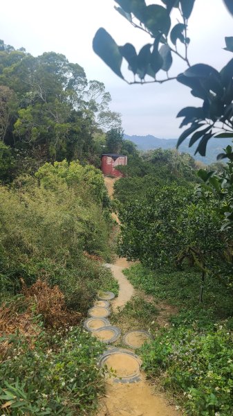 2025-0208聚興山小百岳2710888