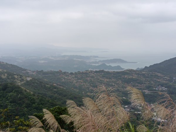 瑞芳區本山地質公園步道+草山公路+百二崁古道+樹梅坪古道O型2945509