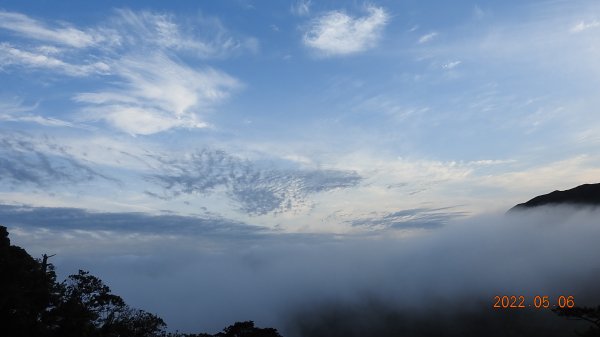 雲山水花鳥蝶 - 天龍國阿伯的日常5/61703594