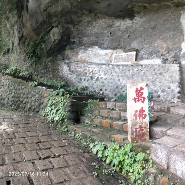 皮皮：六寮古道+獅山古道2838676
