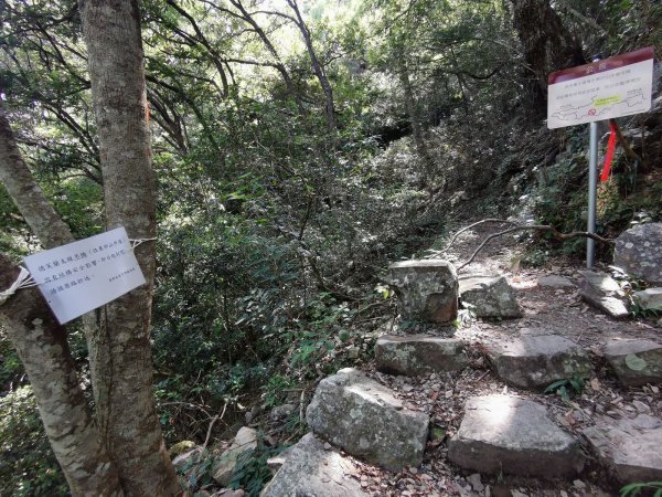 德芙蘭生態步道-綠蔭遮陽，涼風徐徐避暑道1049631