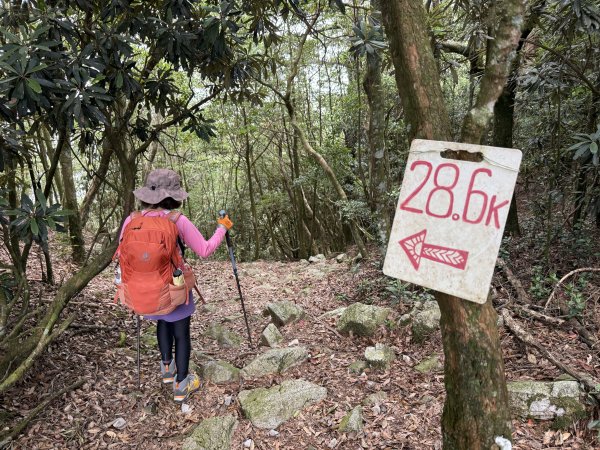 鳶嘴山+稍來神木 202508302873909