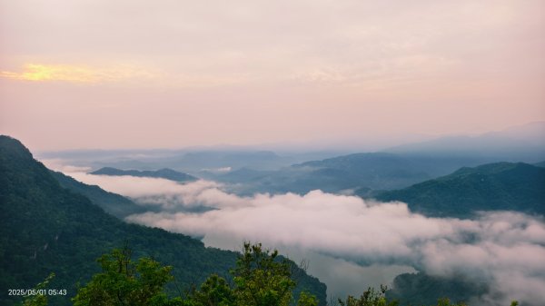 翡翠水庫壩頂 #火燒雲雲海 #日出雲海 #鱷魚島 #藍腹鷴 4/292773785