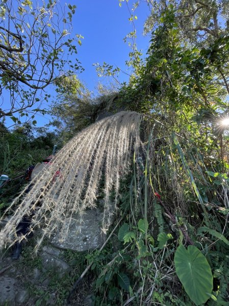 雲嘉七連峰2663051