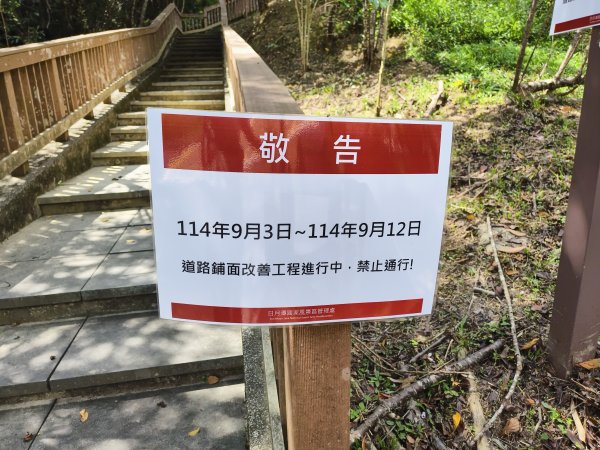 [百山百鳥尋旅-06/15] 2025_0830 貓囒山步道2875705