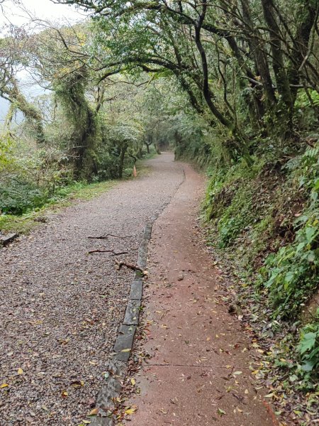 2026臺北大縱走第一段&第二段3011311