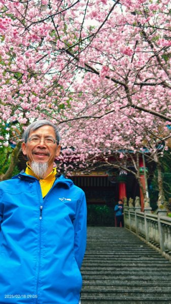 內湖碧山巖 2/182714789