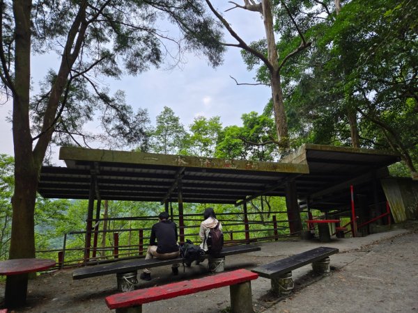 聖母登山步道（抹茶山）、三角崙山（小百岳）2774097