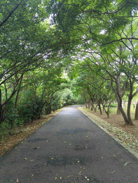 2025.07.20－霄裡好風光：大湳森林公園&亮亮健康樂園2841519