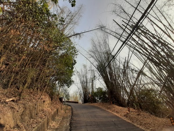 龍崎五間登山步道2134831