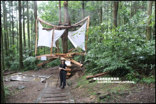 東眼山打卡新亮點森林裡的木構裝置藝術1021828