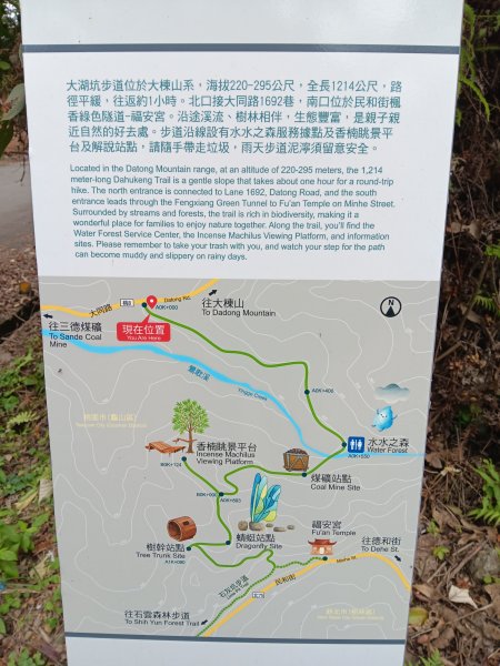 微笑山線大棟山系百年大榕樹段+大湖坑步道2981037