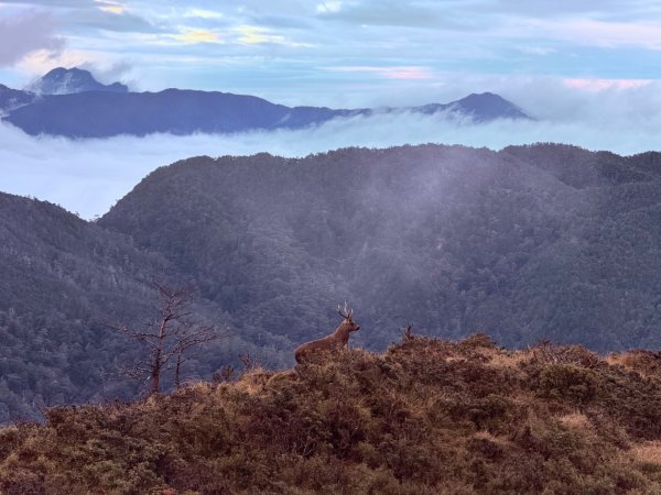 南一段20250101~052684981