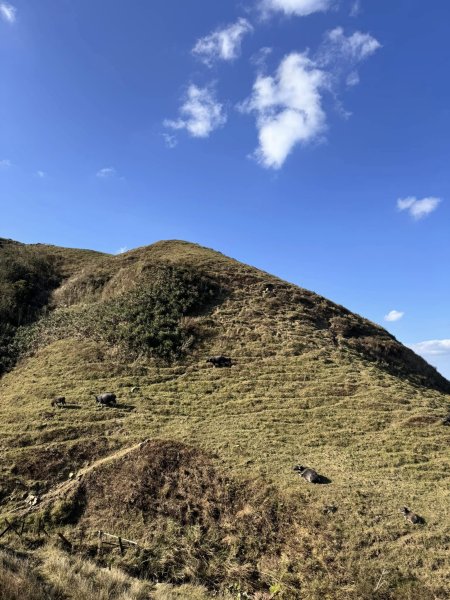 【宜蘭】草嶺古道2671452