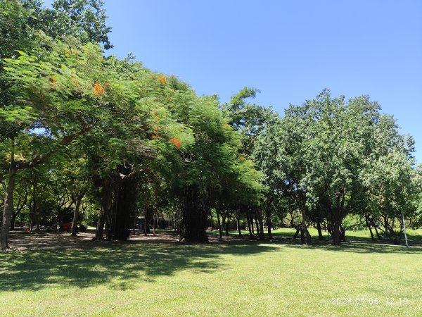 大安森林公園、花博公園圓山園區、基隆 【走路趣尋寶】【臺北健走趣】2589016