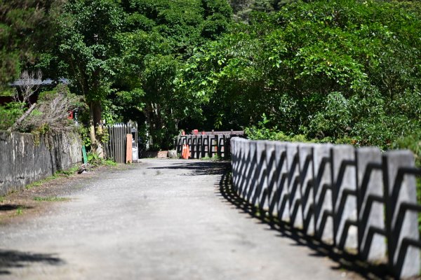 2025_0628 溪瀧步道2824963