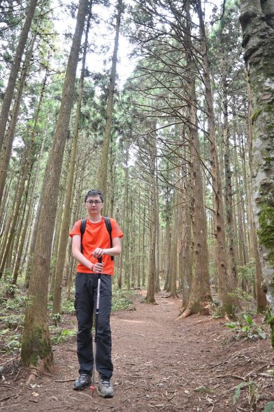 中級山-高島縱走2888390