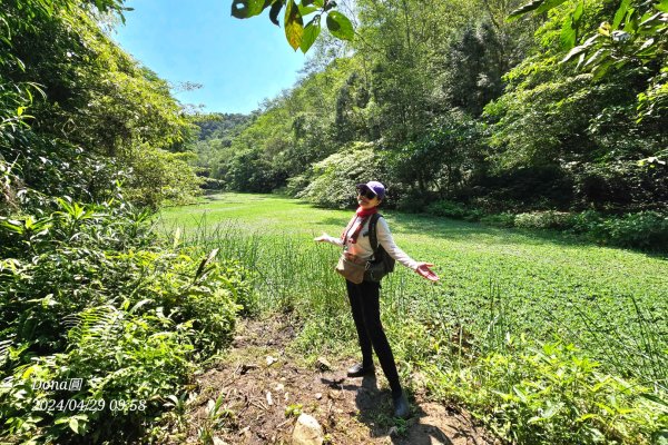 員山冷埤步道+粗坑山2493858