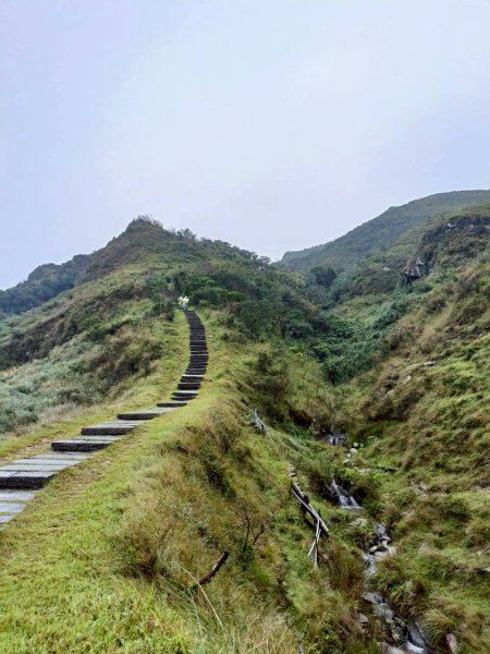 🌈11/2草嶺古道~桃源谷~灣坑頭山~大里天公廟✨FB：熊熊趴爬走🌈2928840