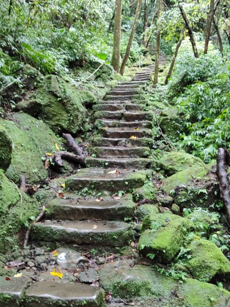 微笑山線：【五分山系】菁桐煤礦段、平溪小黃山段、望古瀑布段2841298