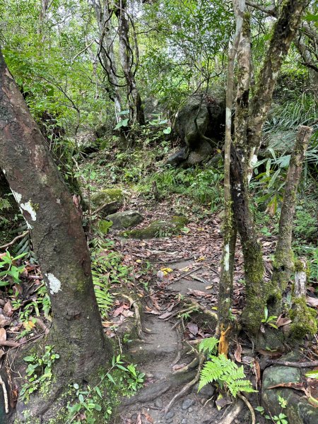 阿美族聖山八里灣山2179984