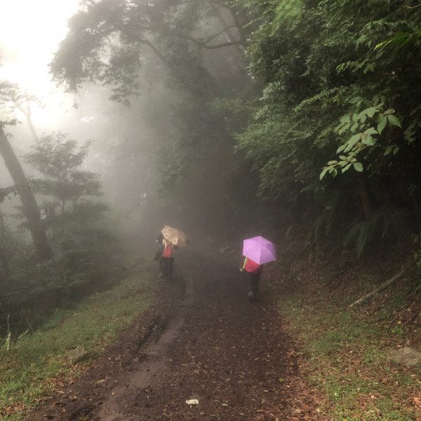 雪見遊憩區/司馬限林道/東洗水山1086294