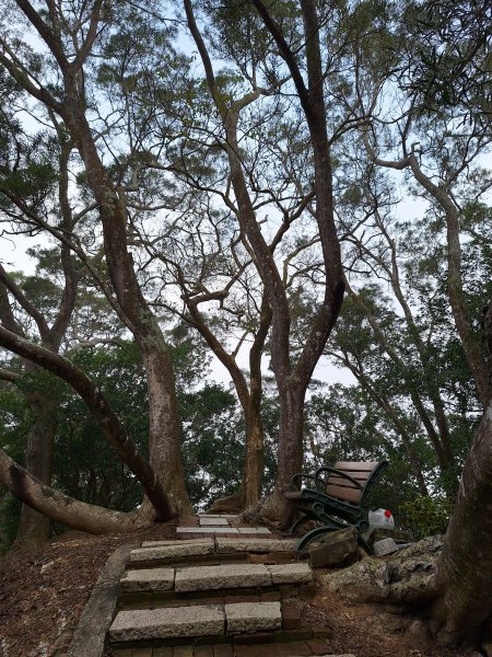 劍潭古道202503122734309