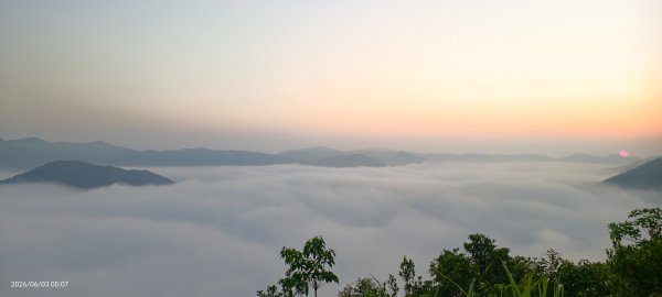 #坪林 #火燒雲 #日出 #雲海 #觀音圈 #金山 #花鳥蝶 6/3&4&163068878