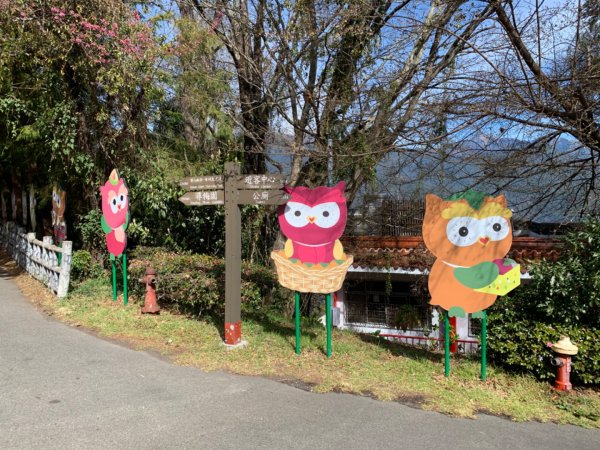 梨山賓館步道875972