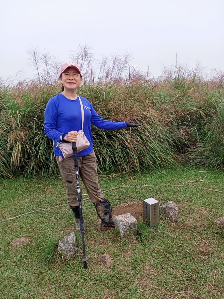 擎天崗→磺嘴山生態保護區→磺嘴山 H912m→翠翠谷→榮潤古道→內雙溪古道→擎天崗環形步道1489225