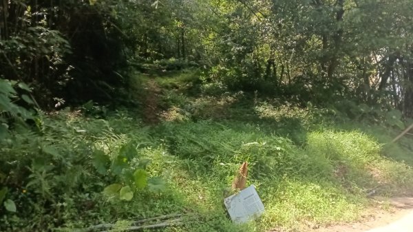 基隆市石象山-石獅山Y字走3116661