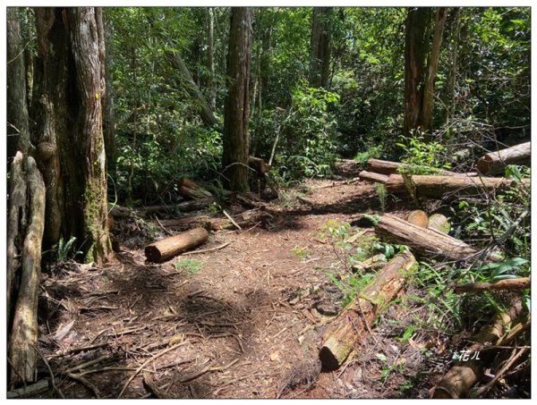 武界山、獅凸魯山、橫屏山、橫屏山西峰 連走2846124