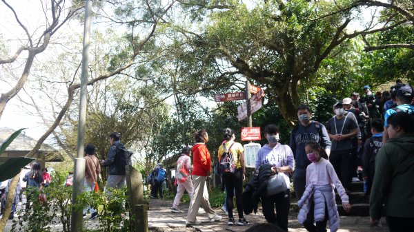 觀音山登山健行趣(小百岳05號)1632349