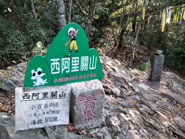 小百岳：西阿里關山1325344