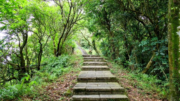 大尖山步道2833788