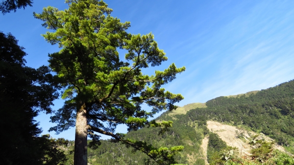 超越自我奇萊南華行24214