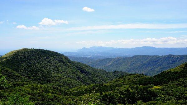 五指邁向擎天冷水坑1036817