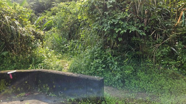 20260409四柑縱走3034417