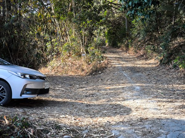 2026-02-10 白雲山2999912