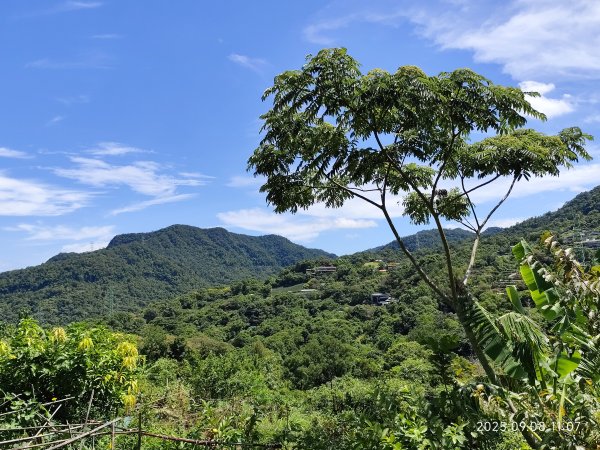 【臺北大縱走 7】2-1 樟山寺→樟樹步道→彩雲亭→相思炭窯→貓纜貓空站→指南路三段40巷2881786