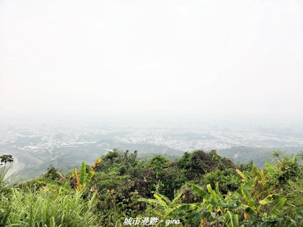 【台中太平】小百岳三汀山3027104