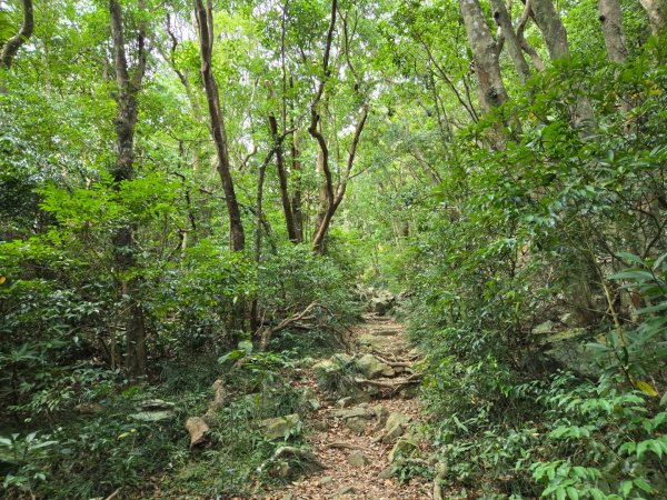 里龍山（小百岳）2788738