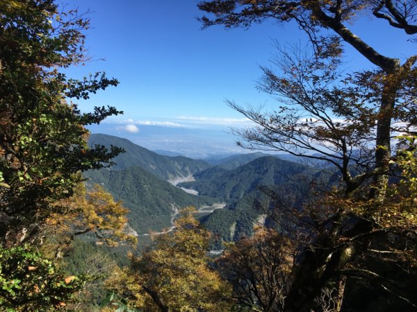 太平山台灣山毛櫸步道、魔幻森林、翠峰湖、望洋山2336435