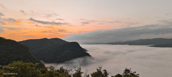 #翡翠水庫壩頂 #月亮 #日出 #雲海 #藍腹鷴母鳥 5/8&133050276